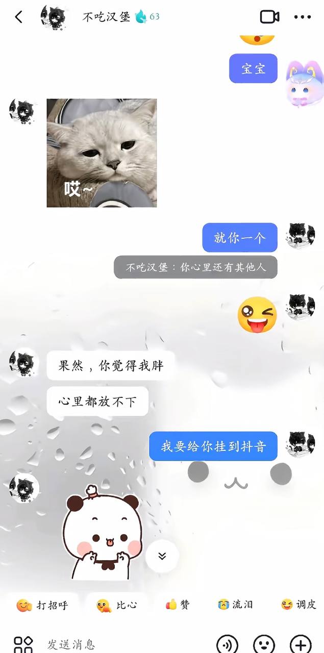 不吃汉堡聊天记录3