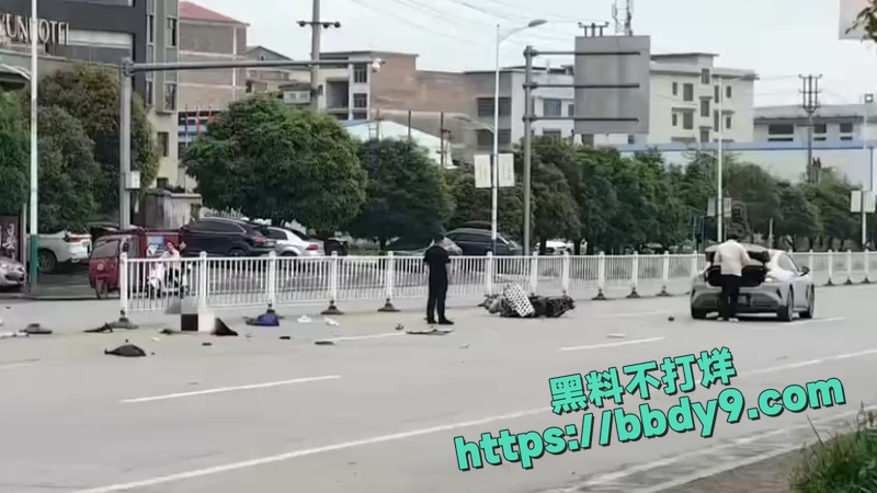 小米SU7撞死29岁女子8
