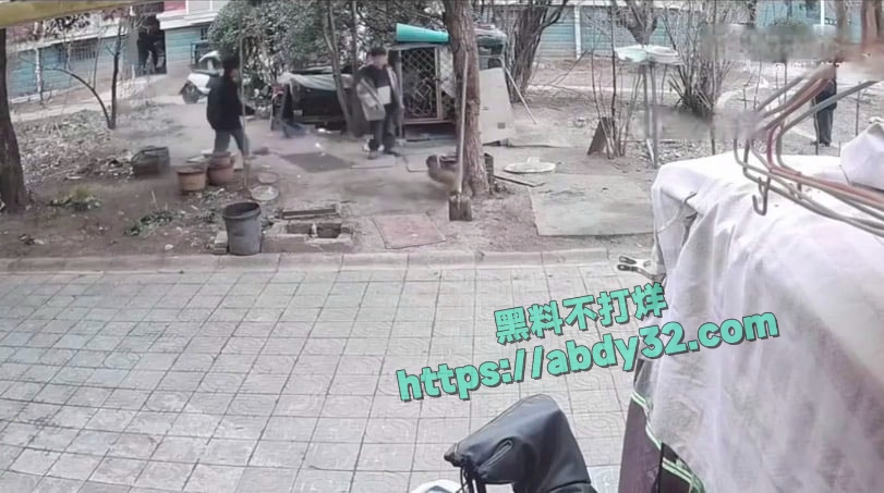连云港两男孩烧死笼中萨摩耶  11
