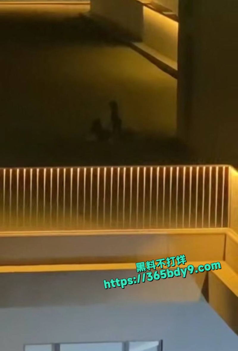 在楼顶做爱被偷拍4