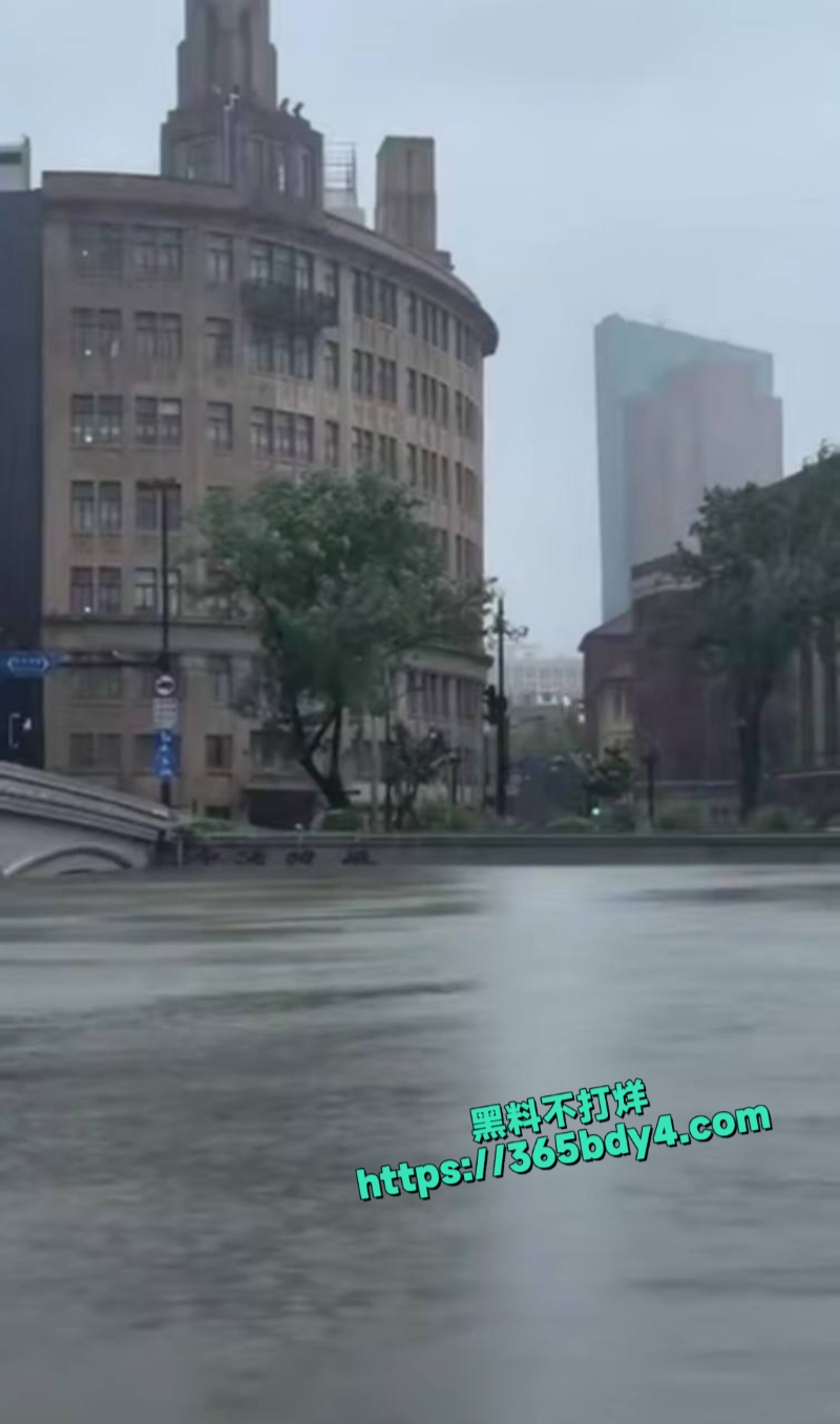 台风竹节草导致上海黄浦江水倒灌1