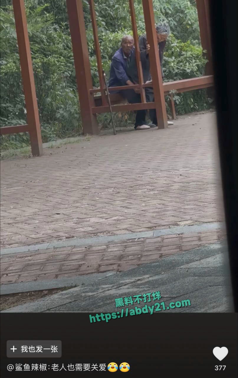 家政服务提供卖淫 20