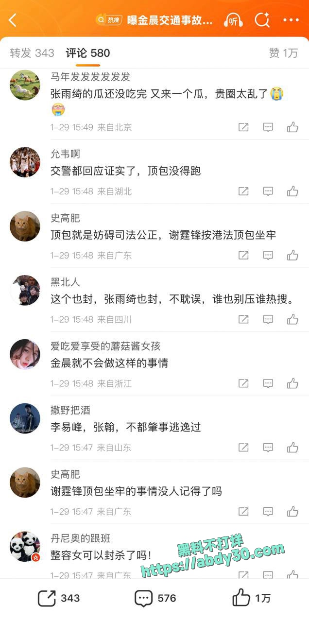 金晨被曝在浙江肇事逃逸让助理顶包骗保 8