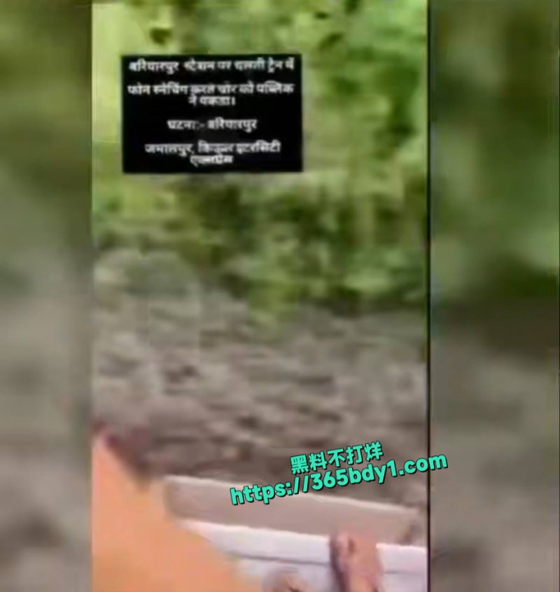 小偷在行驶中的火车上偷手机后跳下去的视频走红1