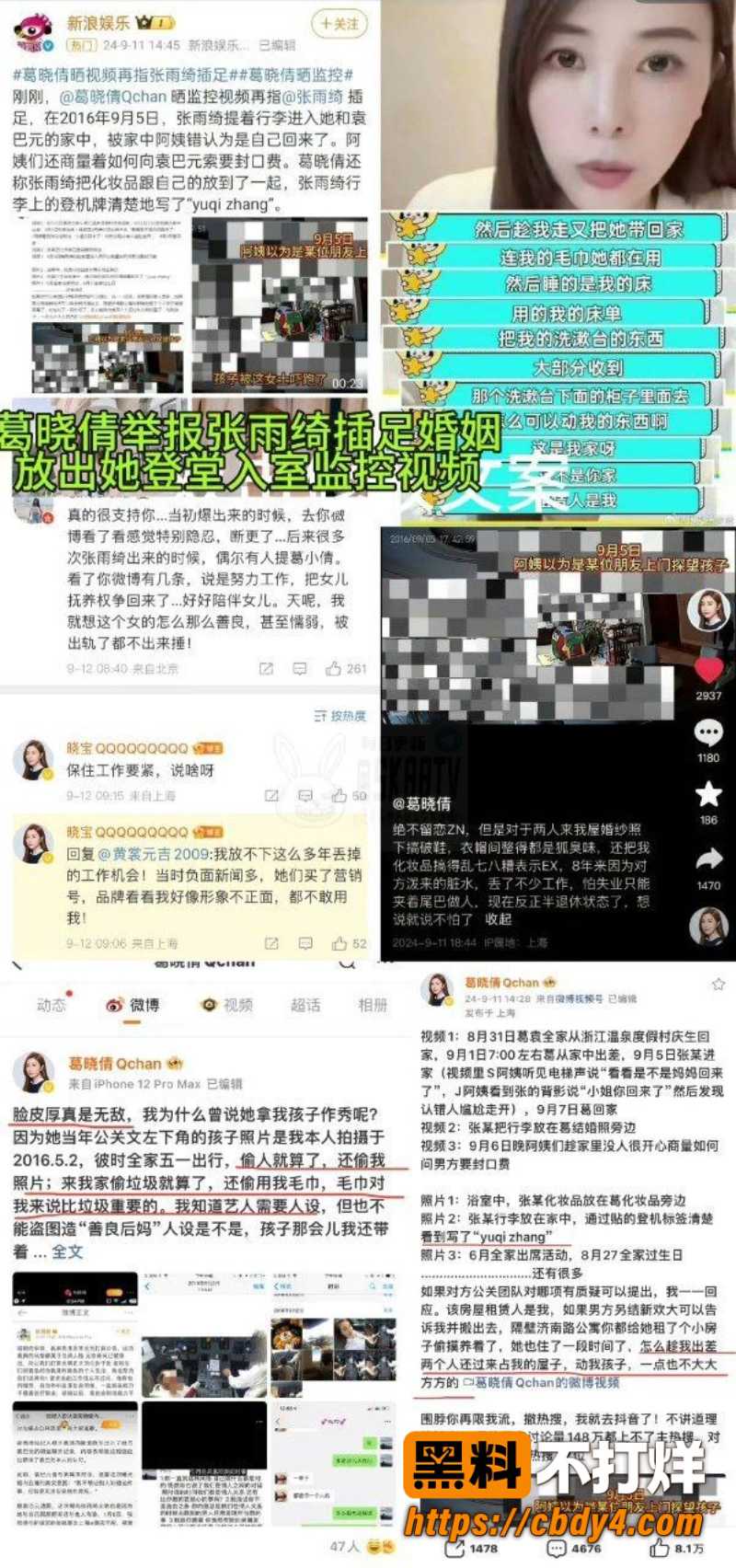 张雨绮代孕黑料 31