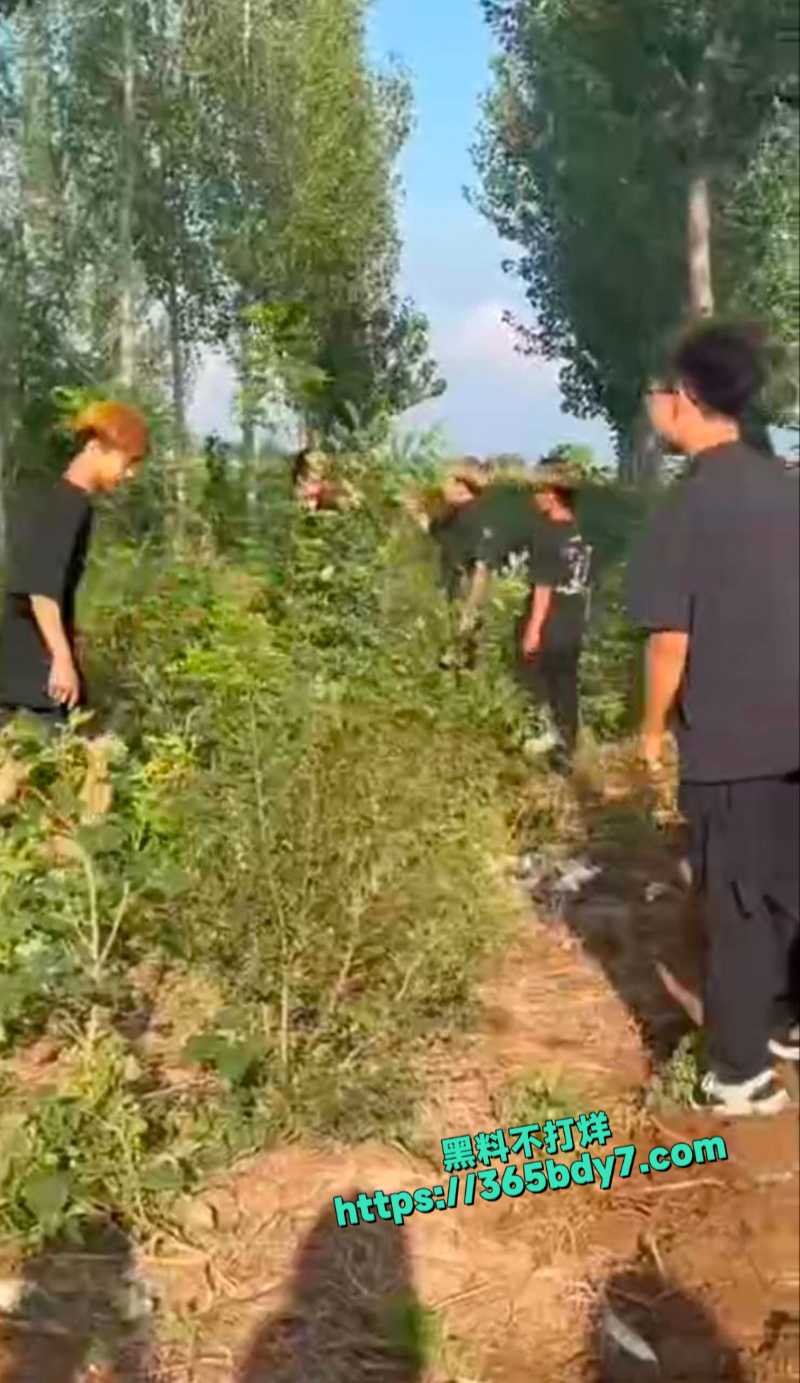 精神小伙霸凌老实人