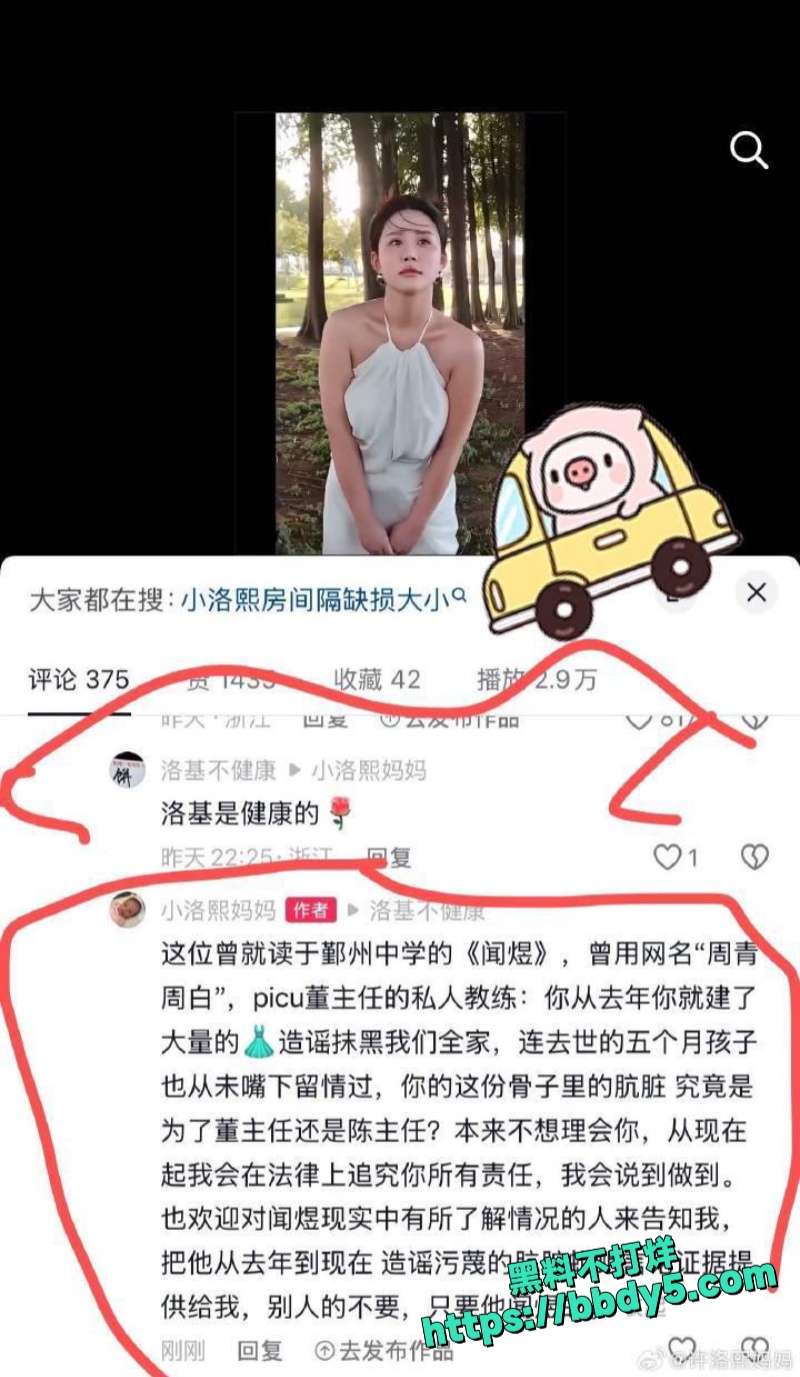 小洛熙案幕后真凶下场4