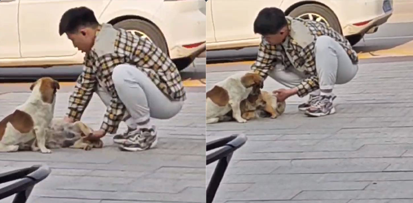 猥琐男当别人“老公”面直接扣逼？！它不是人但是你是真的狗～