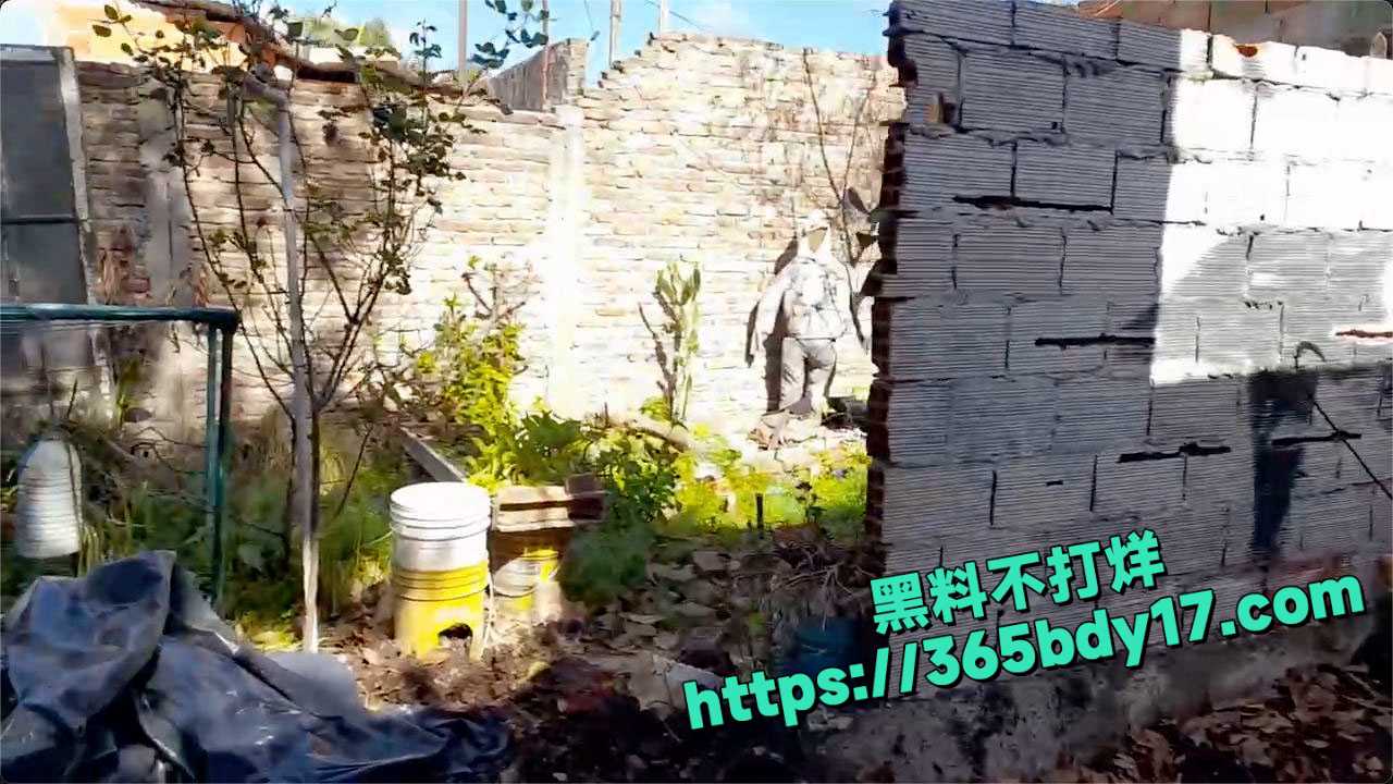阿根廷布宜诺斯艾利斯南郊发生一起震惊全国的骇人犯罪 5