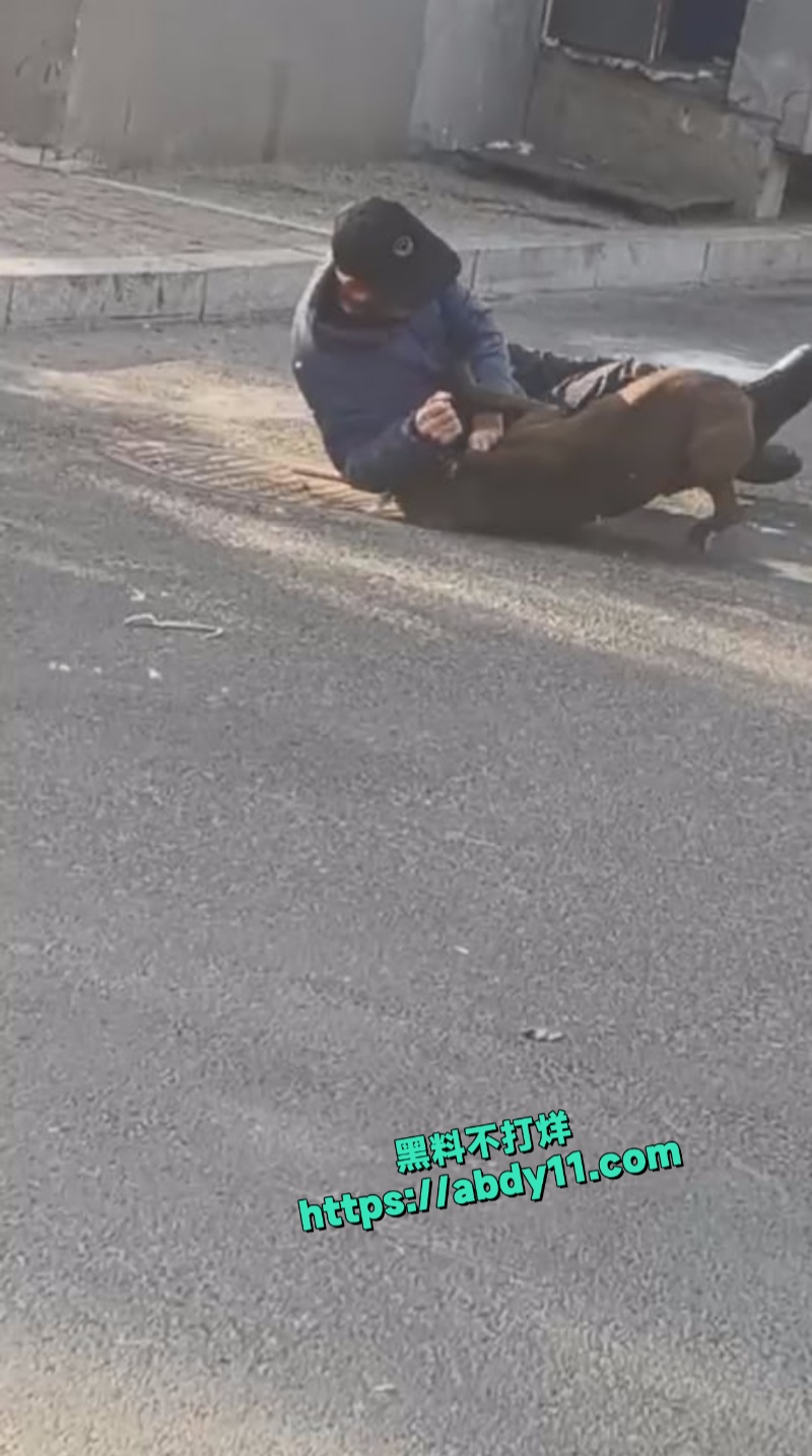 大爷被街头恶狗拼命撕咬不松口 1