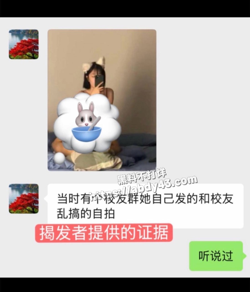 南昌大学历史系王嘉祺20