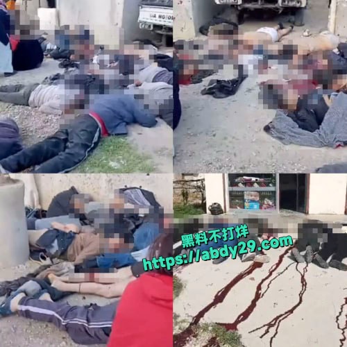 叙利亚ISIS士兵对库尔德女兵残忍处决 9