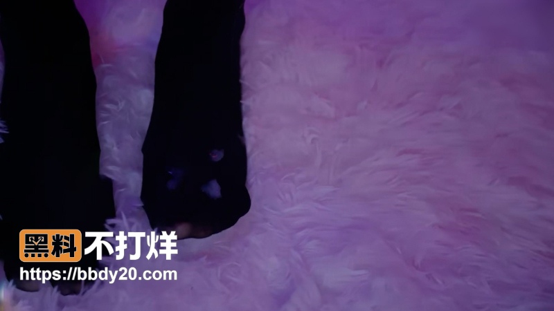 犬九 8