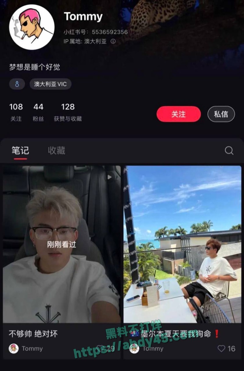 墨尔本工地黄毛男Tonmy10