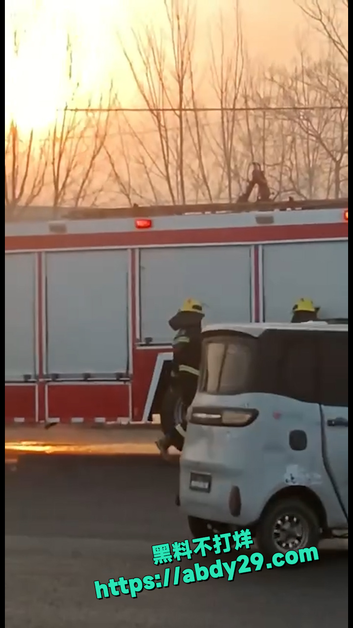 河南宝丰拉猪车高速起火 4