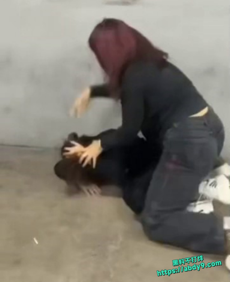 沈阳精神小妹街头约架9