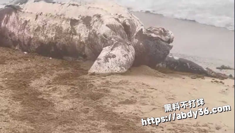 2026年2月多地突发事件合集 2