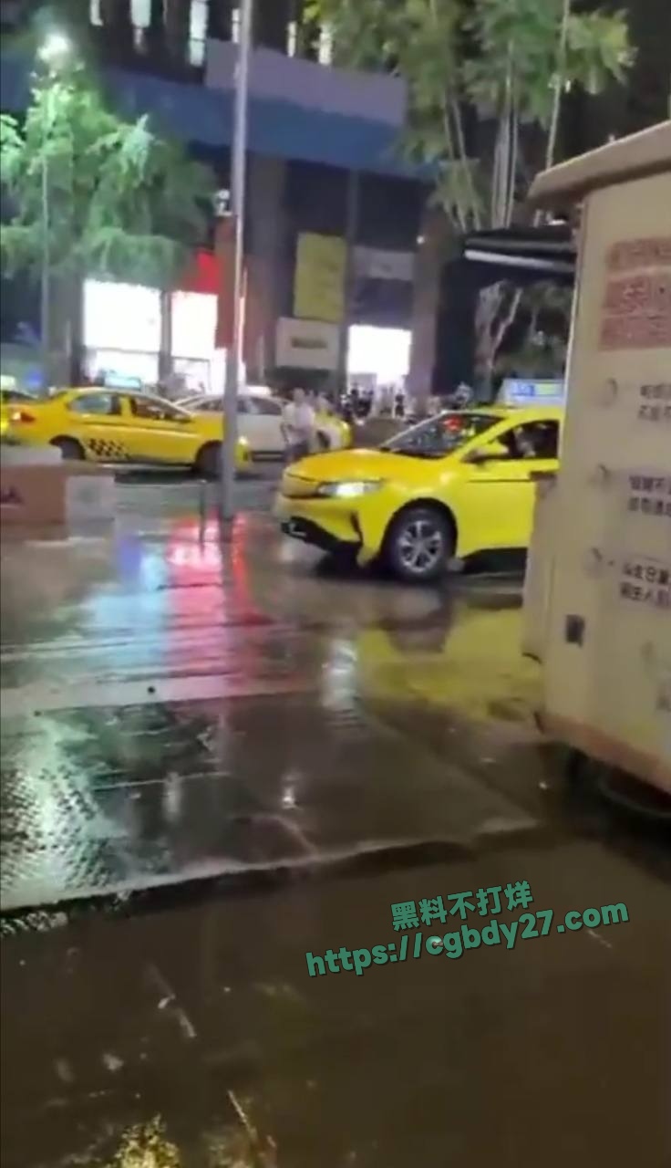 重庆出租车撞人事件 7