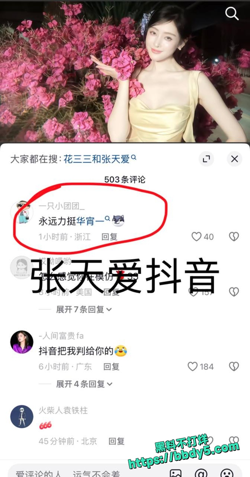 花三三 19