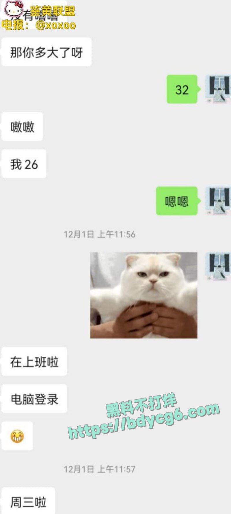 网调极品少女22