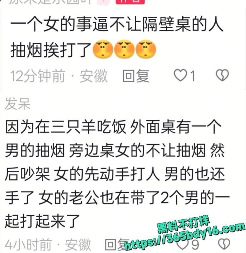 安徽淮北濉溪女子群架7