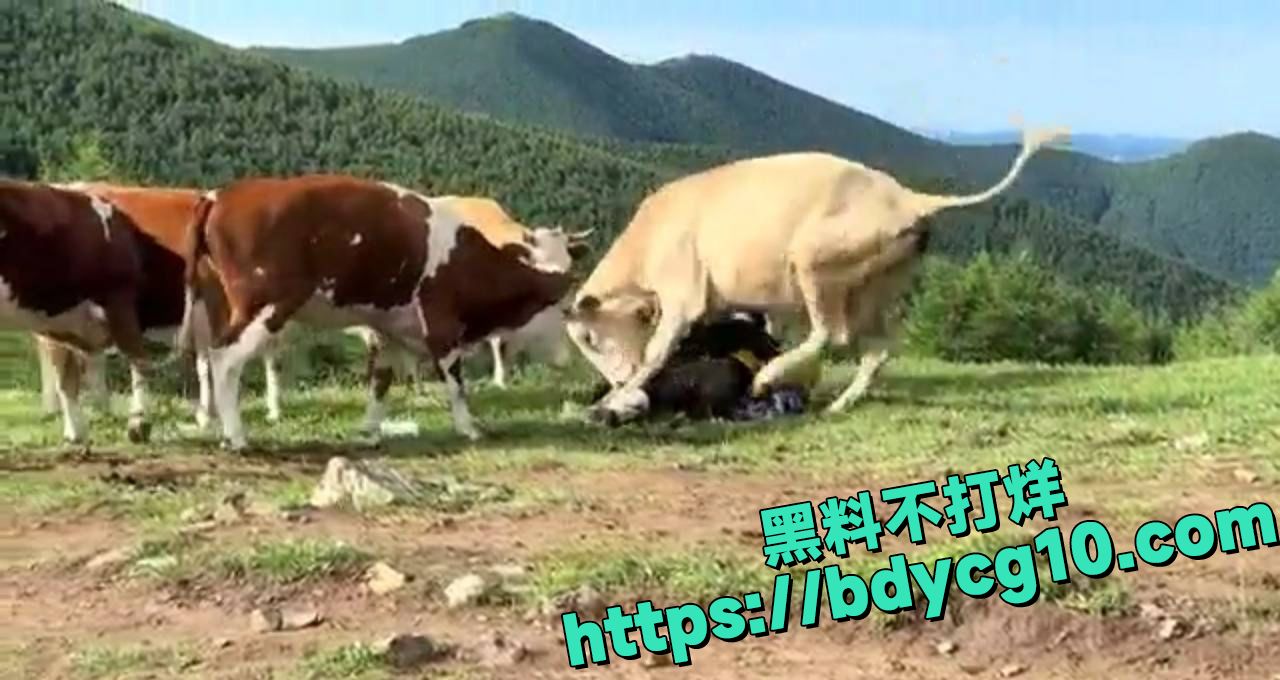 五台山景区游客没素质作死记2