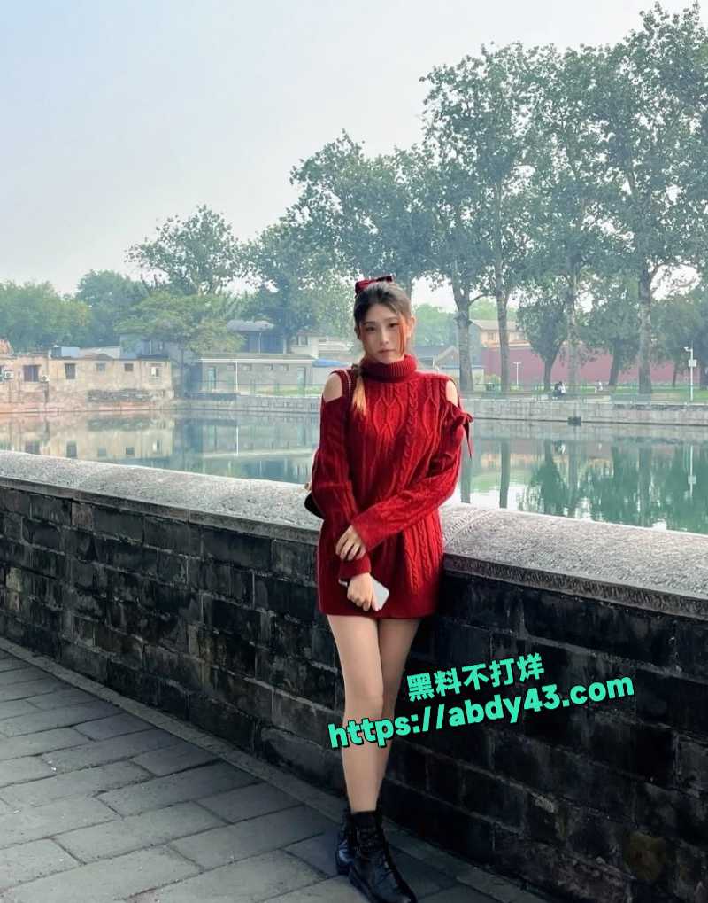 新加坡小网美 3