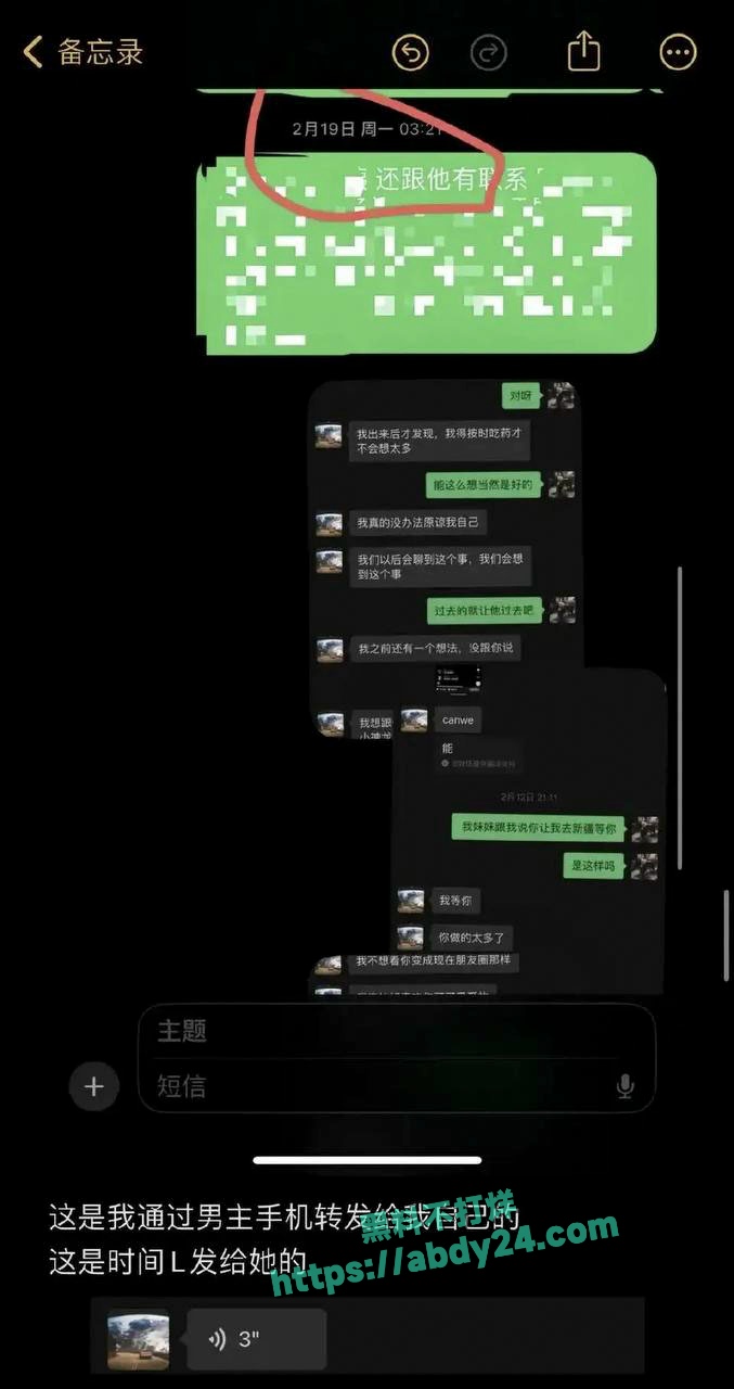 饰演爱情公寓陈美嘉的李金铭知三当三 28