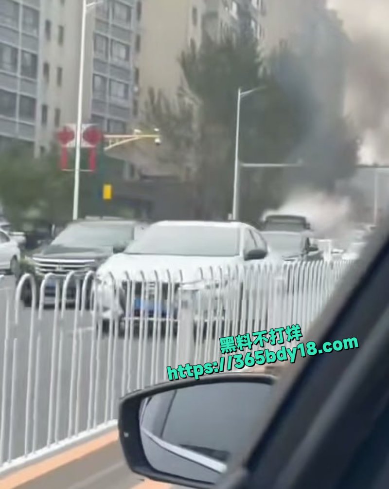 辽宁省丹东市公交车起火