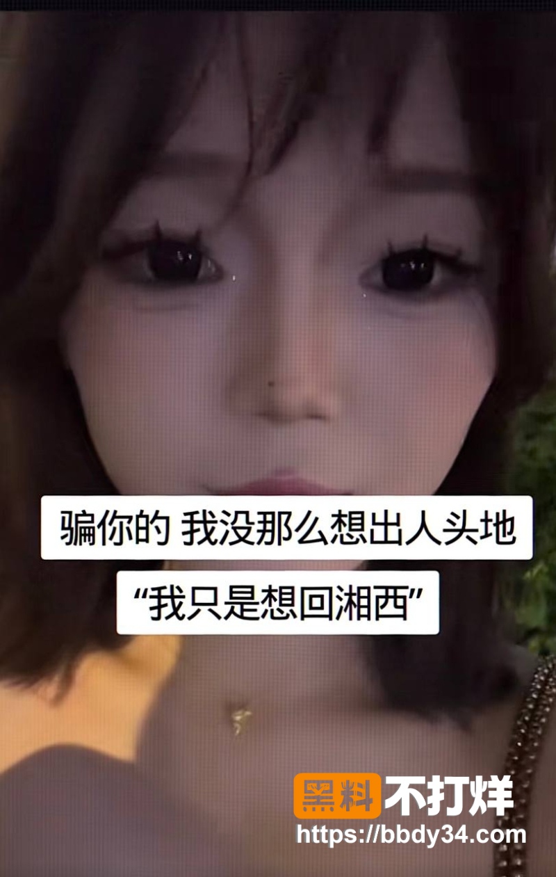 李尖尖 4