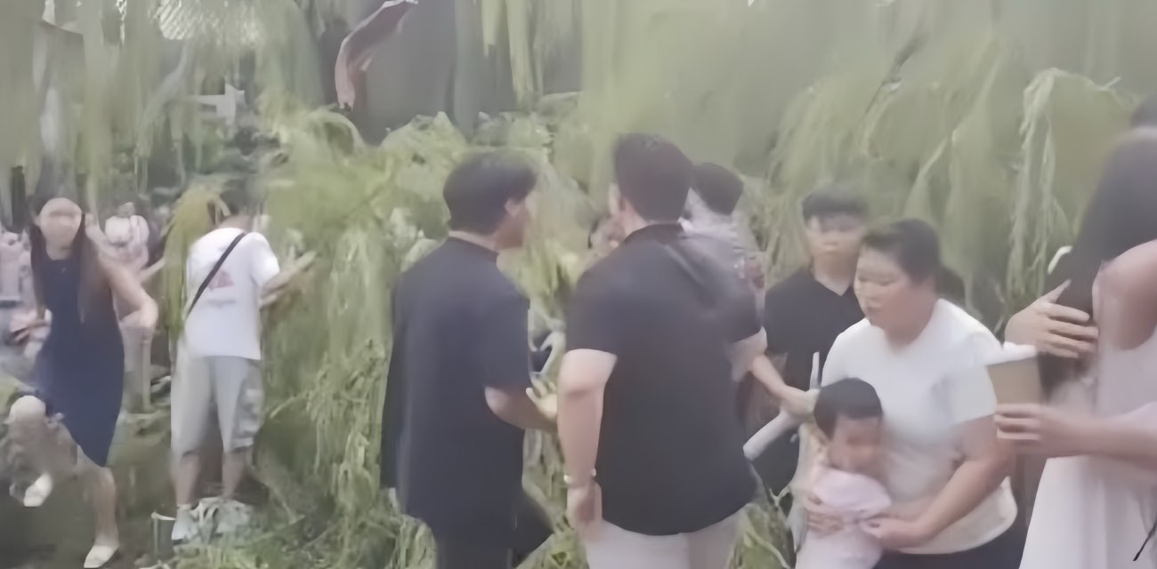 济南趵突泉老柳树突然断枝 16名游客被砸中直接送医 现场混乱不堪