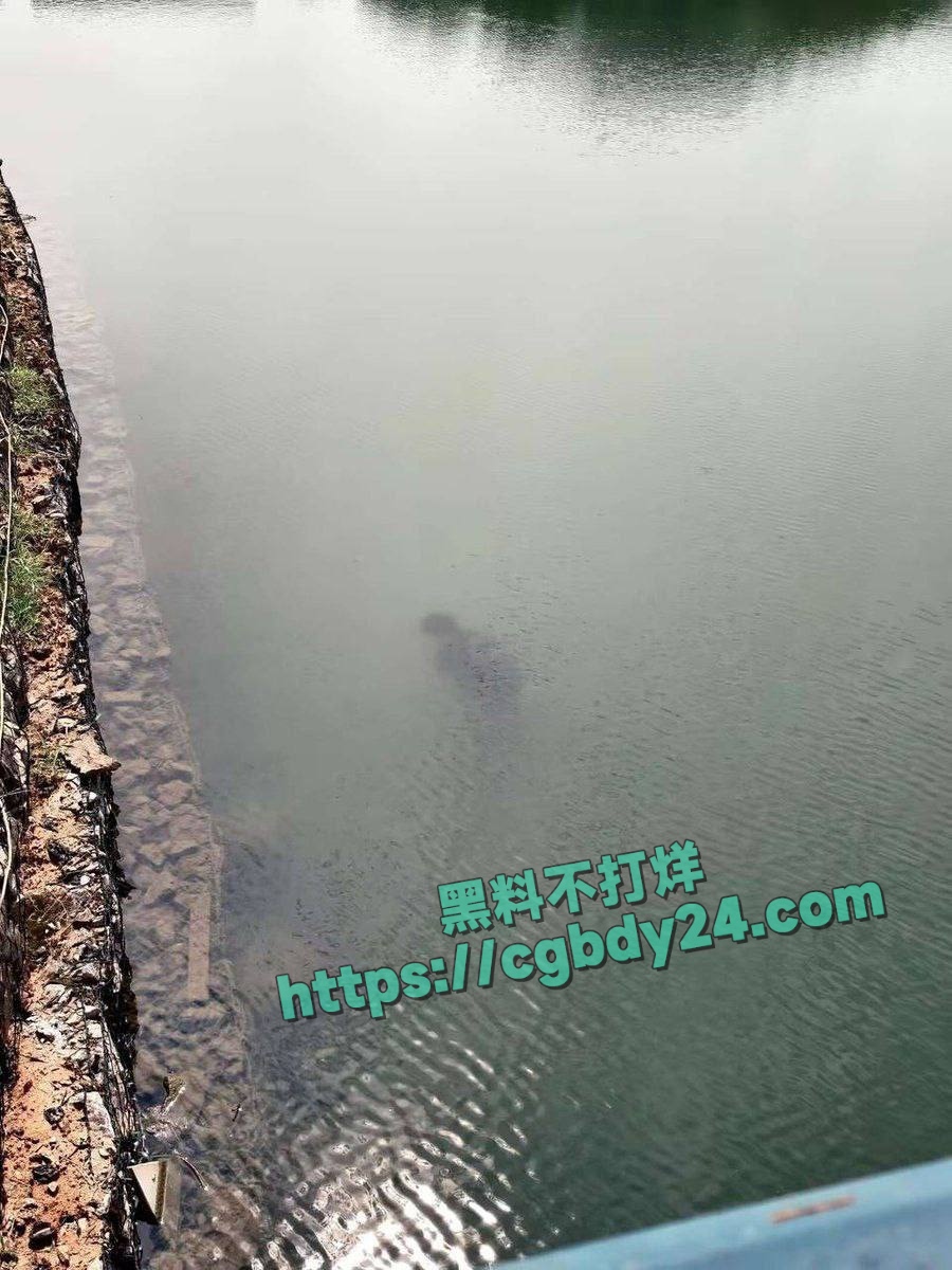 湖北武汉中国地质大学未来城校区在湖中捞出一具学生尸体6