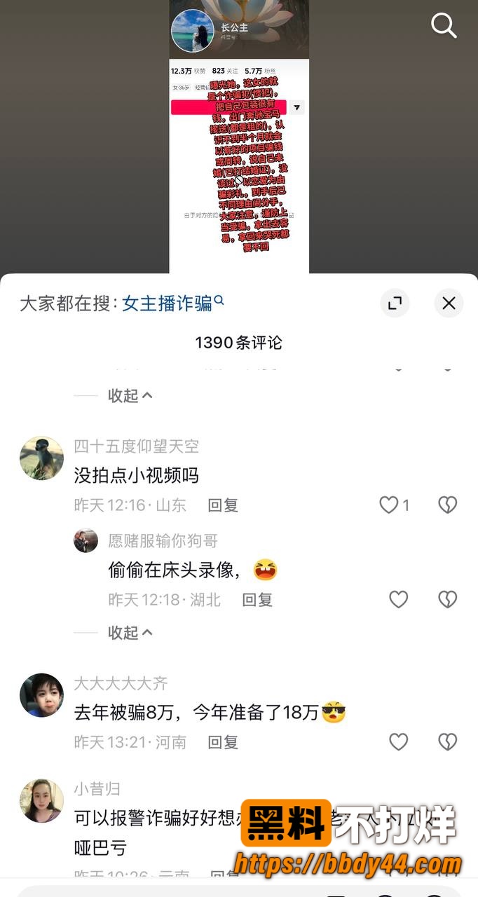 长公主7