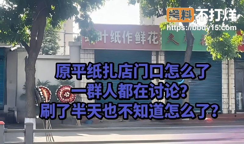 山西忻州原平绿叶纸作鲜花店4