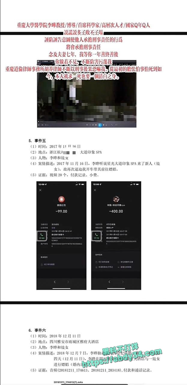 PDF列举李晔罪状4