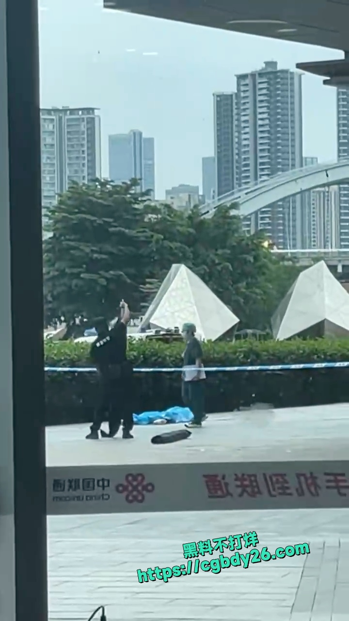 华侨城桔子酒店惊现跳楼事件 4