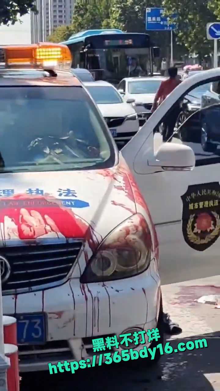 城管与小商贩 6