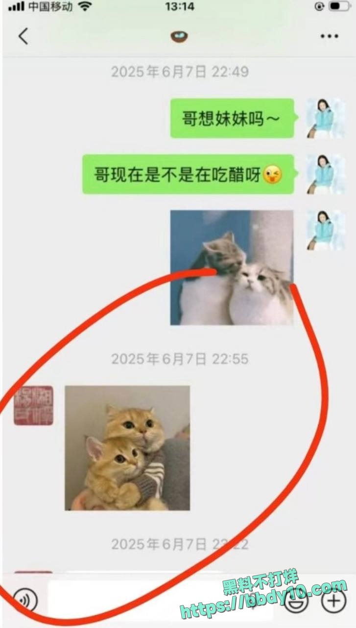 人大清史教授杨念群塌房大瓜24