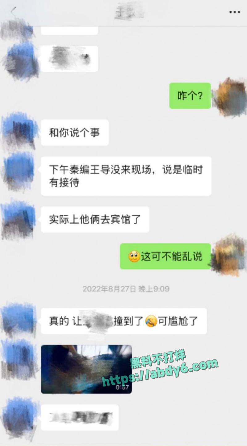 中国影视编剧古二爆王家卫秦雯录音 2