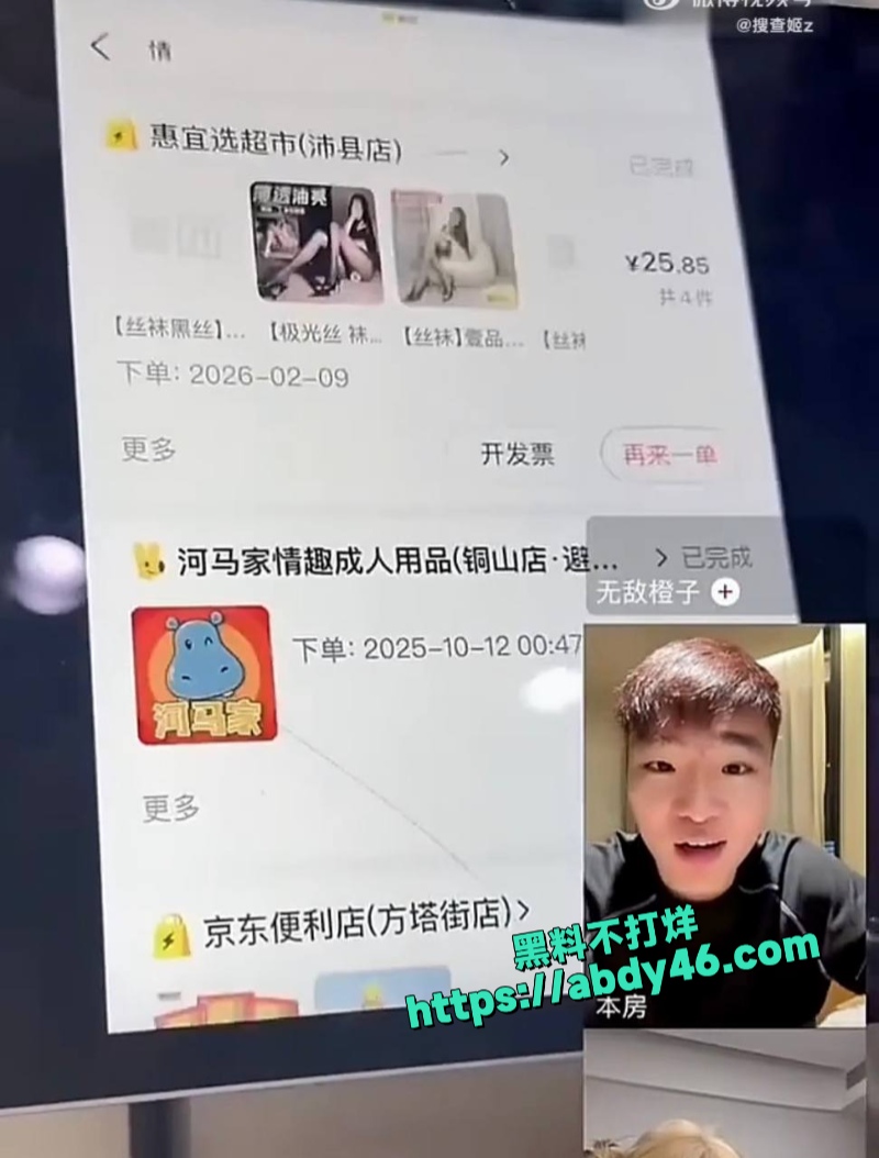 无敌橙子 4