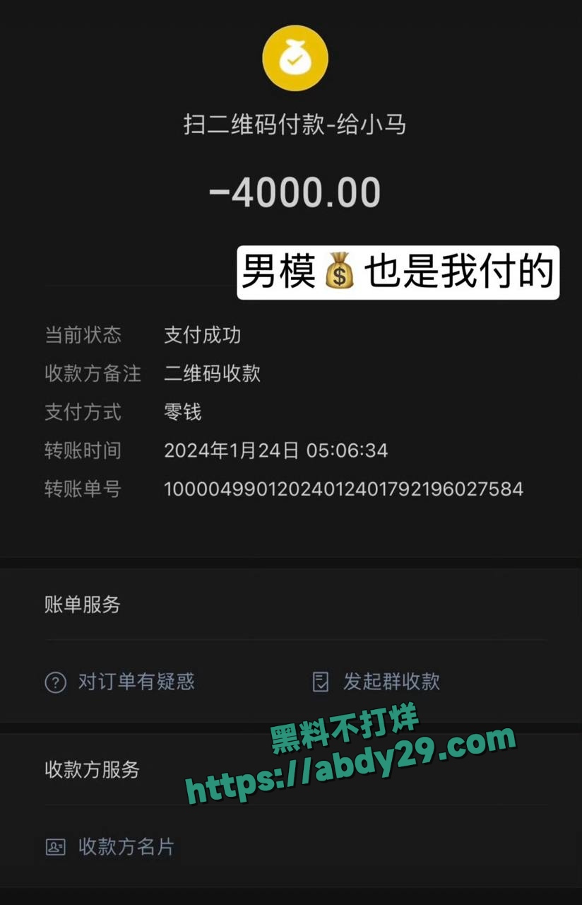 状元姐张露文约闺蜜孟可佳嫖娼 23