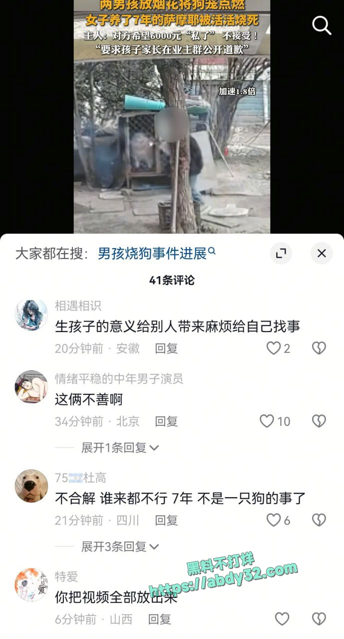 连云港两男孩烧死笼中萨摩耶  9