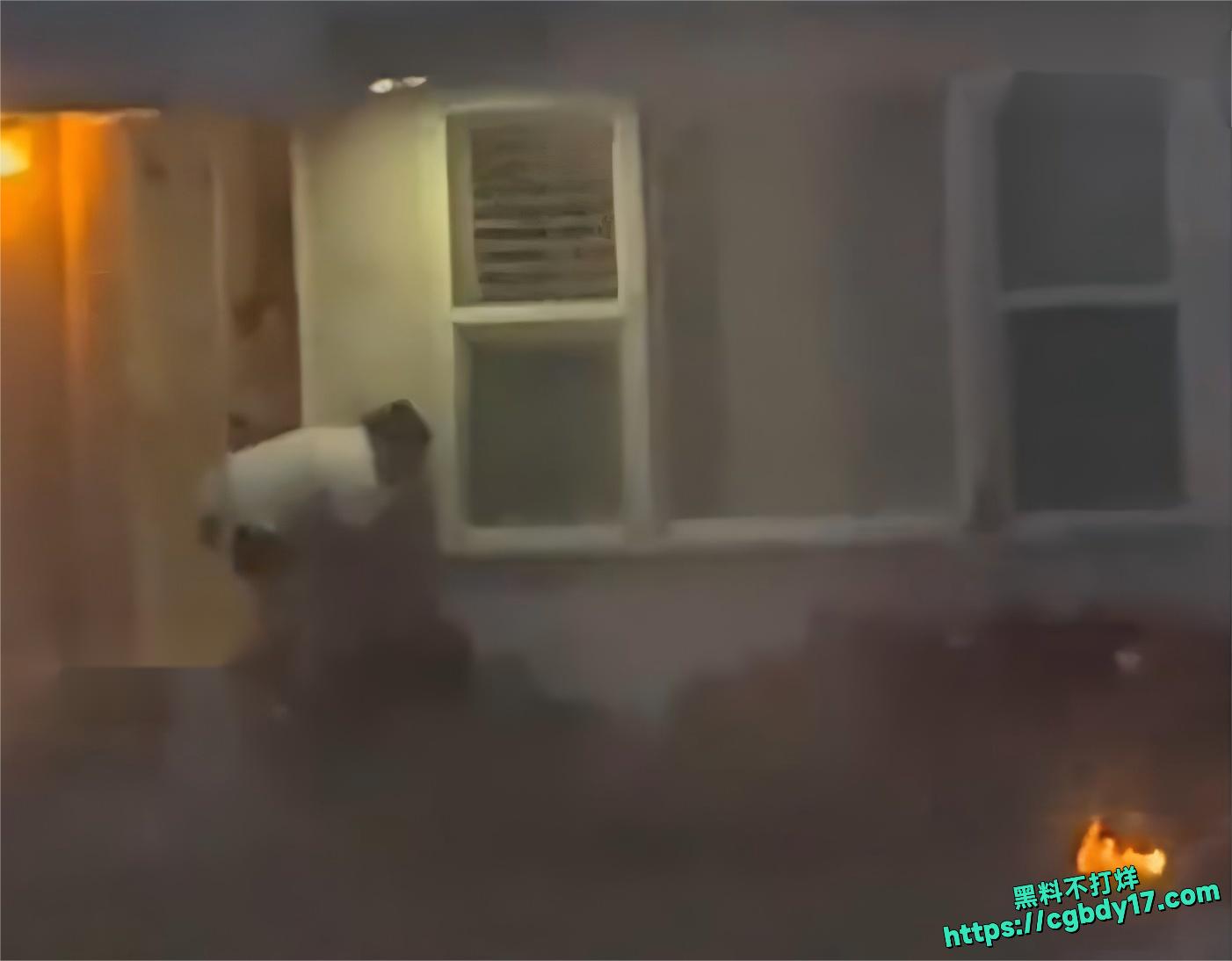 华人大妈持菜刀与警方对峙被击毙4