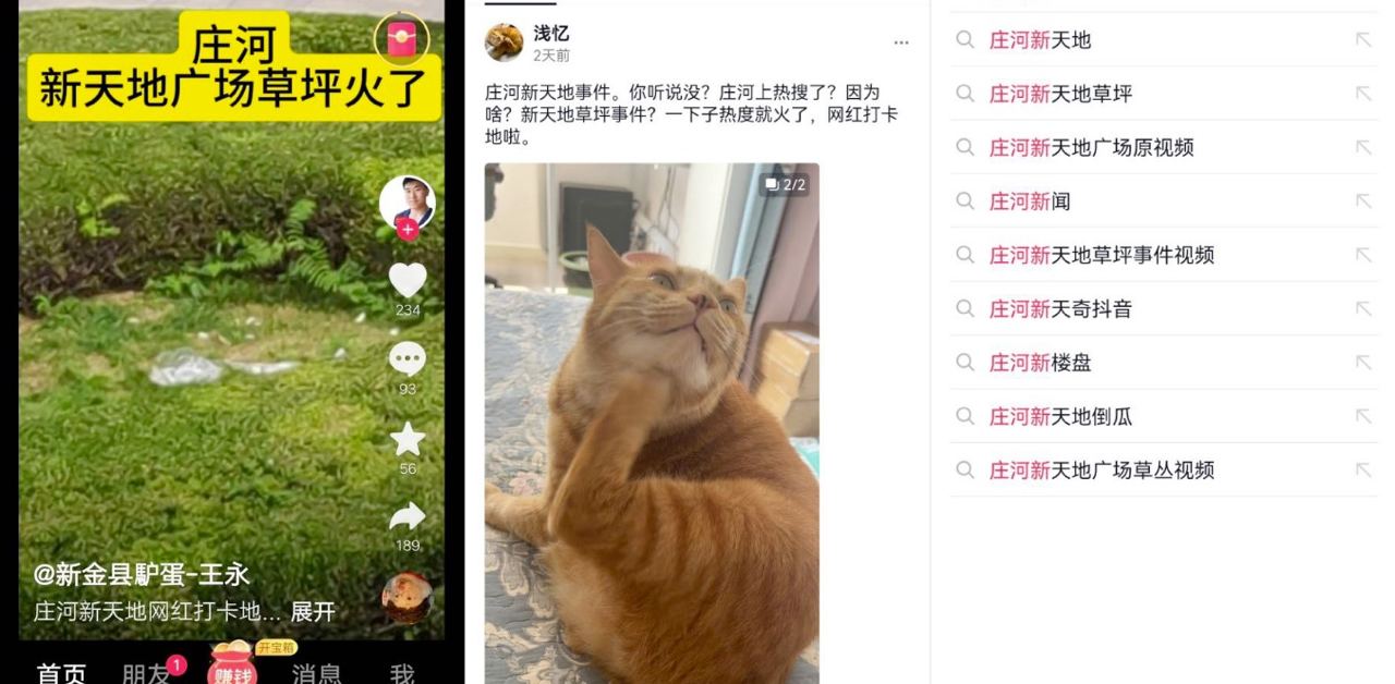 [抖音热瓜]辽宁庄河 新天地广场草坪瓜！情侣草坪内躲在偷情没想到被有心人偷拍疯传~
