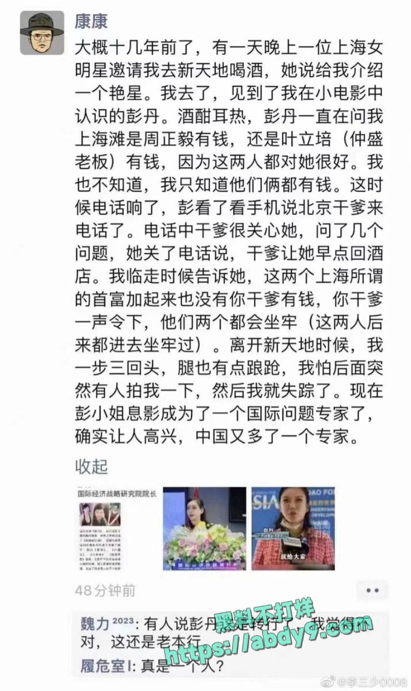 前香港三级片女王彭丹出席国家外交活动 2
