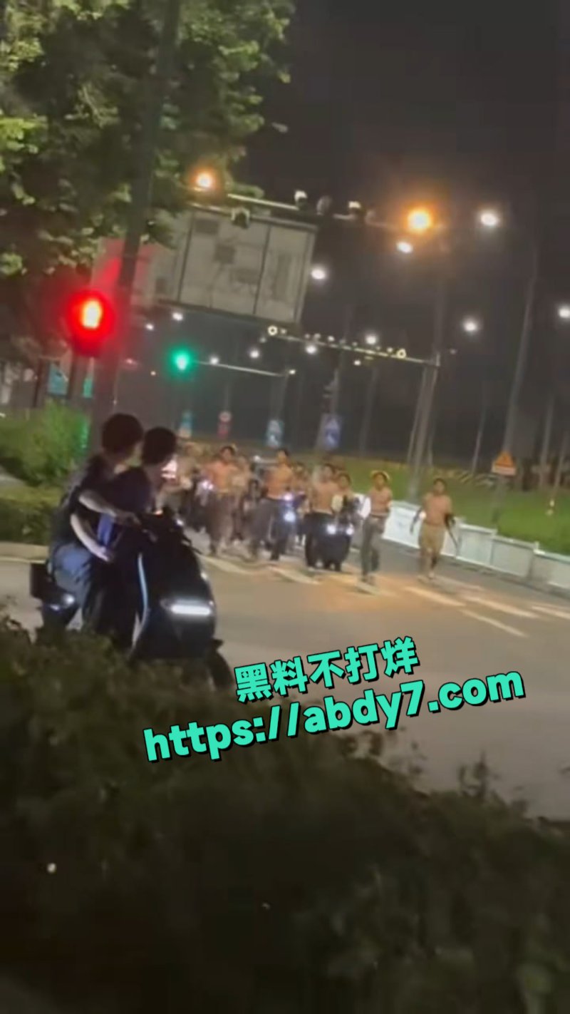 广东惊现古惑仔打架6