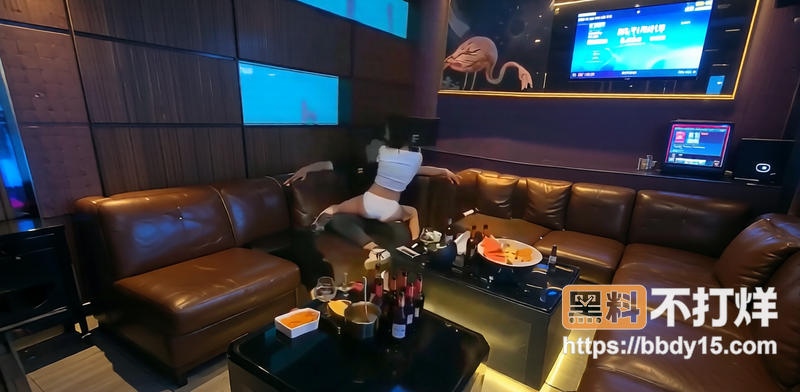 最新淫乱KTV合集炸1