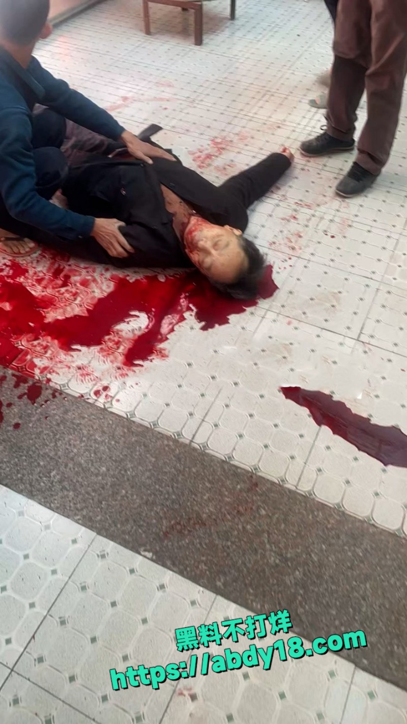 潮汕精神病砍死4人 10