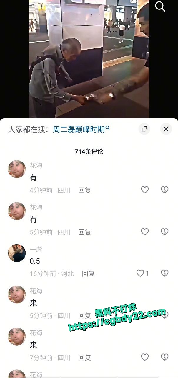 周二磊 (13)
