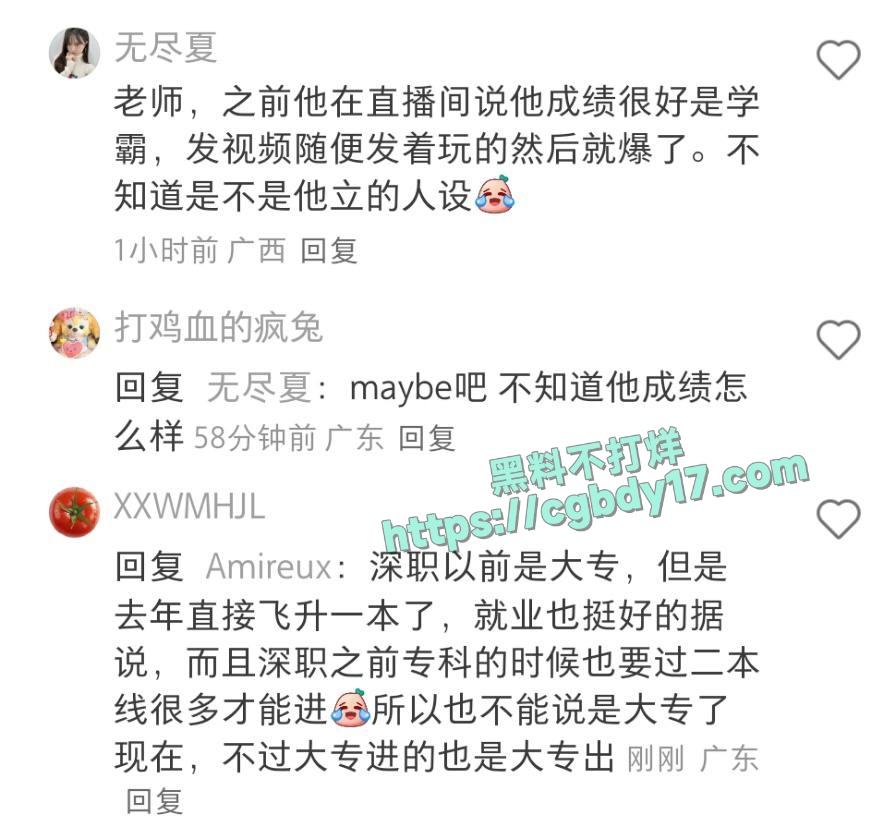 33万网红55-爆料2
